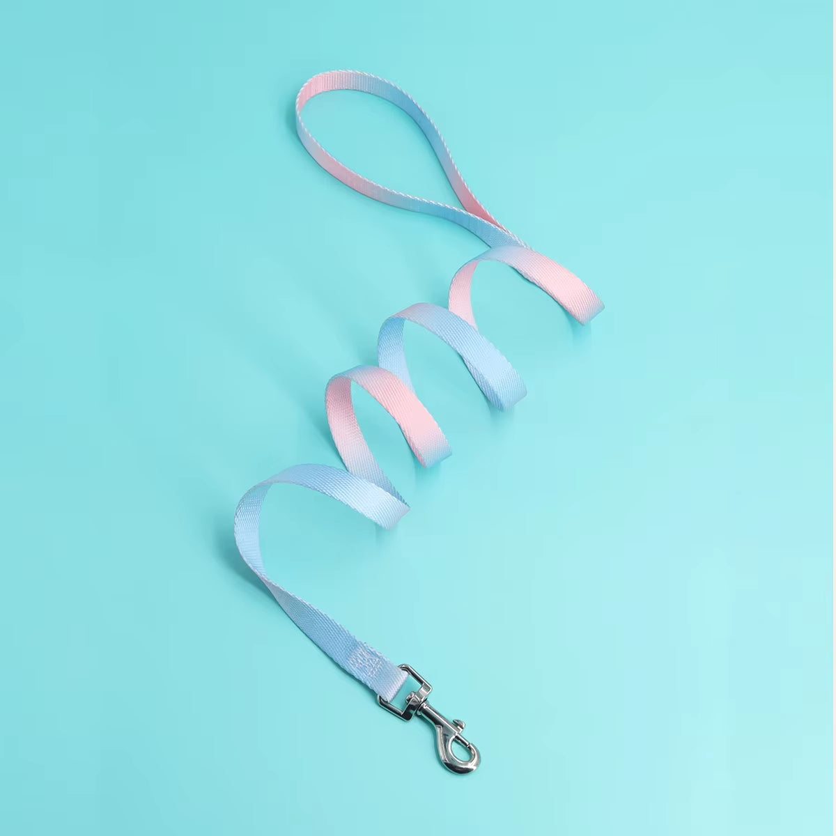 A Colorful Pet Leash Dog Leash for Indoor and Outdoor Use