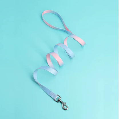 A Colorful Pet Leash Dog Leash for Indoor and Outdoor Use