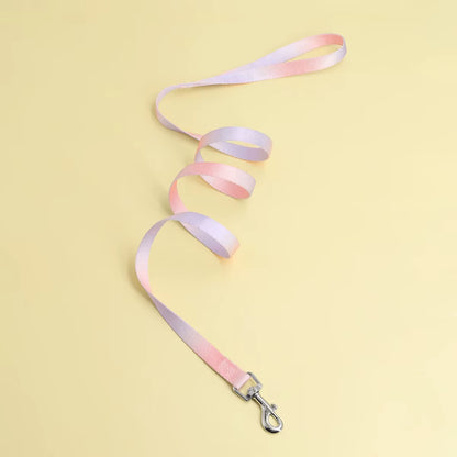 A Colorful Pet Leash Dog Leash for Indoor and Outdoor Use