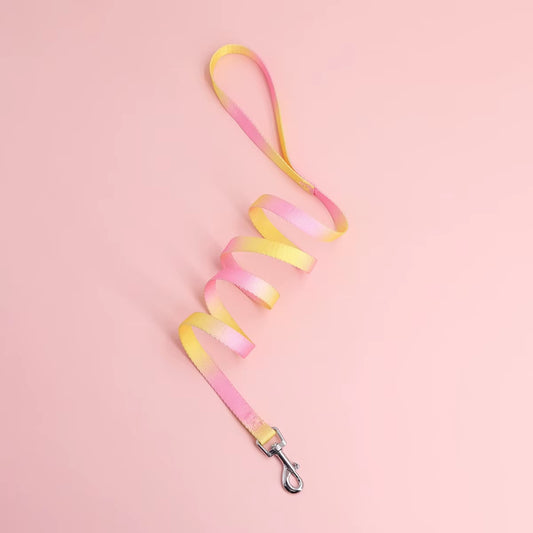 A Colorful Pet Leash Dog Leash for Indoor and Outdoor Use